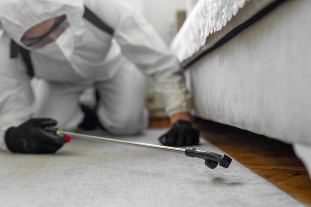 Professional Pest Control technician working in Warren County County, IL